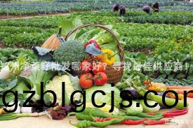 鄭州(zhou)淨(jing)菜(cai)籽批(pi)髮(fa)哪(na)傢(jia)好(hao)？尋找(zhao)最佳(jia)供應(ying)商！