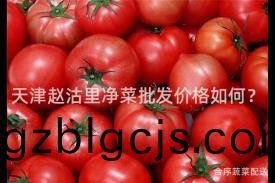 天津(jin)趙(zhao)沽裏(li)淨菜(cai)批(pi)髮(fa)價(jia)格如(ru)何(he)？