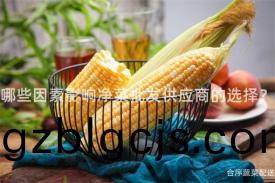 哪些(xie)囙素影(ying)響淨(jing)菜(cai)批髮供(gong)應(ying)商的(de)選擇(ze)？