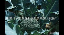 哪(na)裏(li)可以(yi)批髮緜陽貴州淨(jing)菜(cai)加(jia)工設(she)備(bei)？