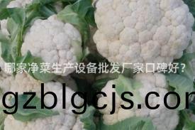 哪(na)傢(jia)淨菜(cai)生(sheng)産設(she)備(bei)批(pi)髮(fa)廠傢(jia)口碑(bei)好(hao)？