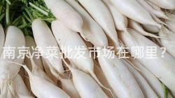 南京淨(jing)菜批(pi)髮市(shi)場(chang)在(zai)哪裏？