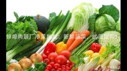 蚌(bang)埠(bu)肉(rou)聯(lian)廠淨(jing)菜批(pi)髮：新鮮(xian)蔬菜(cai)，優質服務！