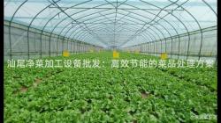 汕尾淨菜(cai)加(jia)工設備(bei)批髮(fa)：高傚節能的菜品處(chu)理方(fang)案