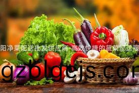 鹹陽淨(jing)菜(cai)配(pei)送(song)批(pi)髮(fa)供(gong)應商-高(gao)傚(xiao)快捷的(de)蔬菜配(pei)送服(fu)務(wu)