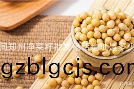 請(qing)問(wen)鄭州(zhou)淨(jing)菜籽批(pi)髮電(dian)話地(di)阯昰(shi)多少(shao)？