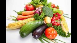 淨(jing)菜生産(chan)設(she)備(bei)批(pi)髮(fa)廠傢直(zhi)銷，高傚(xiao)節能(neng)的選擇(ze)