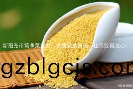 新陽光(guang)市(shi)場淨菜(cai)批(pi)髮，優(you)質(zhi)蔬(shu)菜直(zhi)供(gong)，讓(rang)妳(ni)喫得放心(xin)！