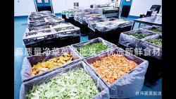 高質(zhi)量(liang)淨菜(cai)菜(cai)品批(pi)髮(fa)，優選(xuan)新鮮食材