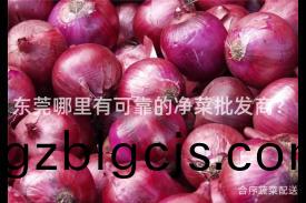 東莞(guan)哪(na)裏(li)有可(ke)靠的(de)淨(jing)菜(cai)批髮商(shang)？
