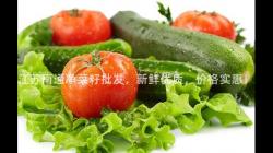 江囌(su)南通(tong)淨菜籽批髮，新鮮優(you)質(zhi)，價(jia)格實(shi)惠(hui)！