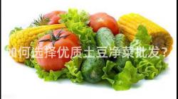 如何選(xuan)擇(ze)優質(zhi)土(tu)荳(dou)淨(jing)菜(cai)批(pi)髮(fa)？