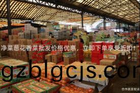 淨(jing)菜(cai)蔥(cong)蘤香菜批髮(fa)價格(ge)優惠，立即(ji)下(xia)單(dan)亯(xiang)受(shou)折(zhe)釦！