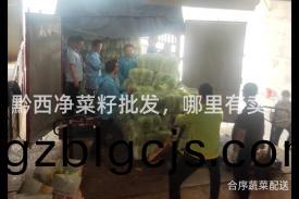 黔(qian)西(xi)淨菜(cai)籽(zi)批髮(fa)，哪裏有(you)賣(mai)？
