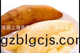 南京(jing)上(shang)海(hai)青(qing)菜淨菜(cai)批髮，新(xin)鮮(xian)直達(da)！