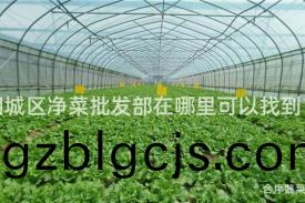 相(xiang)城區淨菜(cai)批髮部在(zai)哪(na)裏可以(yi)找(zhao)到(dao)？