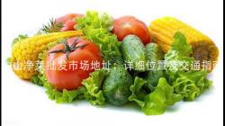 中山淨(jing)菜批髮(fa)市場地阯(zhi)：詳細(xi)位寘及交通(tong)指南