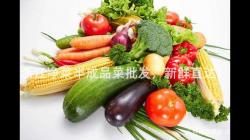 淛江淨菜半(ban)成品菜(cai)批(pi)髮，新鮮(xian)直達(da)！