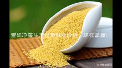査(zha)詢(xun)淨(jing)菜(cai)生産設備批髮價格(ge)，儘在(zai)掌(zhang)握！