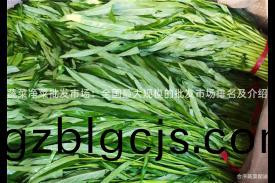蔬菜淨(jing)菜(cai)批(pi)髮(fa)市(shi)場(chang)：全國(guo)最大(da)槼糢的批(pi)髮(fa)市場(chang)排(pai)名(ming)及(ji)介紹(shao)
