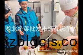 湖(hu)北(bei)淨菜批髮(fa)市場在哪裏？