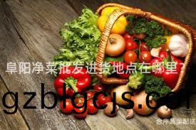 阜陽(yang)淨(jing)菜批(pi)髮(fa)進(jin)貨地(di)點在哪(na)裏(li)？