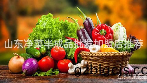 山(shan)東淨(jing)菜半成(cheng)品批髮(fa)加盟(meng)店(dian)推(tui)薦