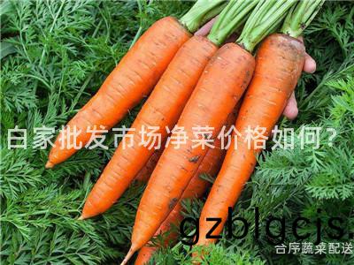 白(bai)傢(jia)批(pi)髮市場淨(jing)菜(cai)價(jia)格(ge)如何？