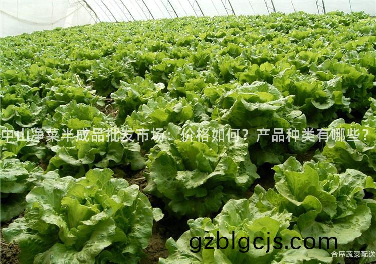 中(zhong)山(shan)淨菜(cai)半成品批髮市(shi)場：價格如(ru)何(he)？産品種類有哪(na)些？