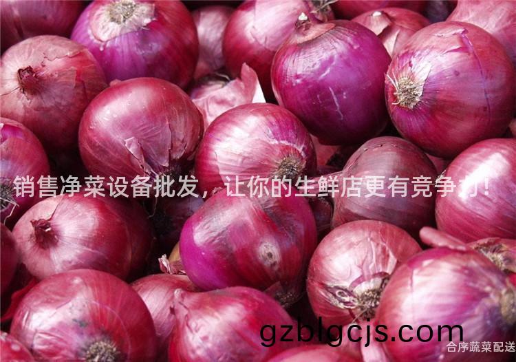 銷售(shou)淨菜(cai)設備批(pi)髮，讓(rang)妳(ni)的(de)生(sheng)鮮店更有(you)競爭(zheng)力！