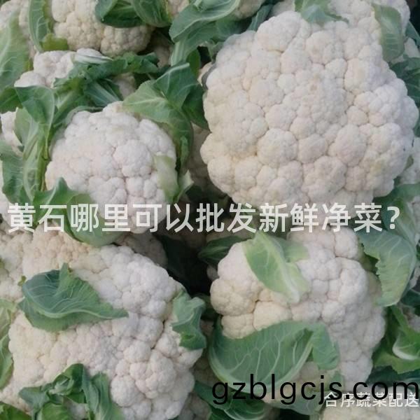 黃(huang)石(shi)哪裏(li)可(ke)以批髮(fa)新(xin)鮮(xian)淨(jing)菜？
