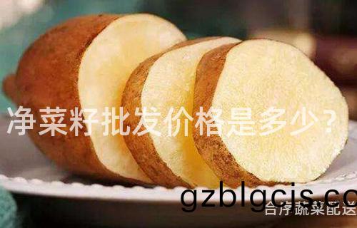 淨菜籽(zi)批髮(fa)價(jia)格昰(shi)多少(shao)？
