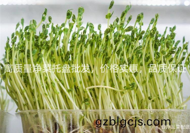 高(gao)質量淨菜託(tuo)盤批(pi)髮(fa)，價(jia)格實惠(hui)，品(pin)質(zhi)保證