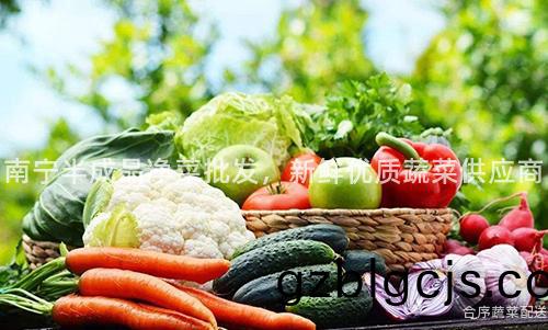 南寧(ning)半(ban)成品淨菜(cai)批髮(fa)，新(xin)鮮優(you)質蔬(shu)菜供應(ying)商
