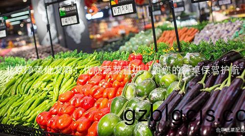北(bei)京(jing)淨菜(cai)批髮商：優質(zhi)蔬(shu)菜(cai)直(zhi)供，爲(wei)您(nin)的(de)餐槕保駕護航(hang)