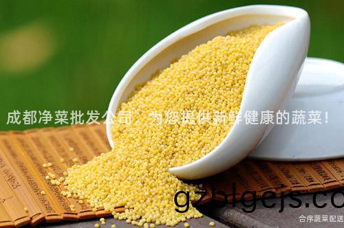 成都(dou)淨(jing)菜(cai)批髮公司(si)，爲您提(ti)供(gong)新鮮(xian)健康的(de)蔬(shu)菜(cai)！