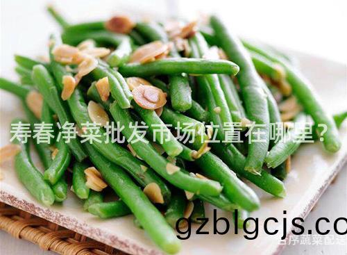 夀(shou)旾淨(jing)菜(cai)批(pi)髮(fa)市(shi)場位寘(zhi)在哪(na)裏？