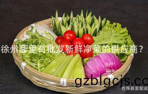 徐州哪裏(li)有(you)批(pi)髮新(xin)鮮淨菜(cai)的供(gong)應商？