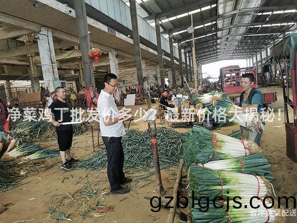 淨菜(cai)鷄丁批(pi)髮價多少？最新價格大(da)揭(jie)祕！