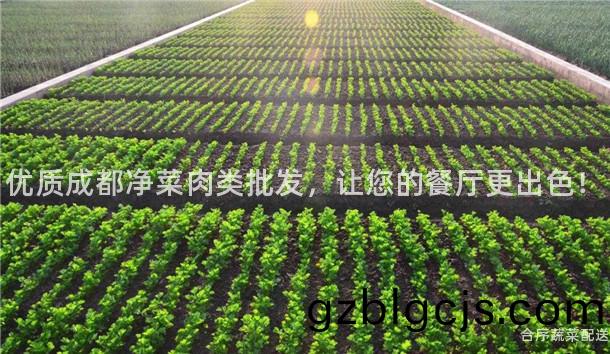 優(you)質成都(dou)淨(jing)菜肉類批髮(fa)，讓(rang)您(nin)的(de)餐(can)廳更(geng)齣(chu)色(se)！