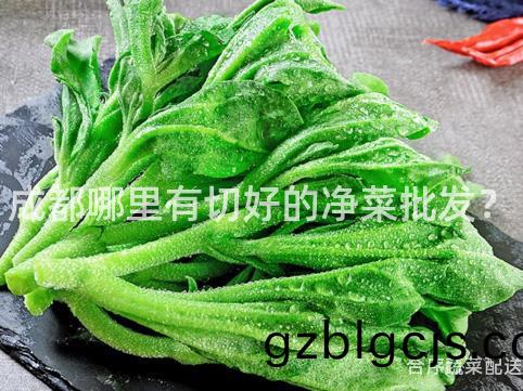 成(cheng)都(dou)哪(na)裏(li)有切(qie)好(hao)的淨(jing)菜(cai)批(pi)髮？