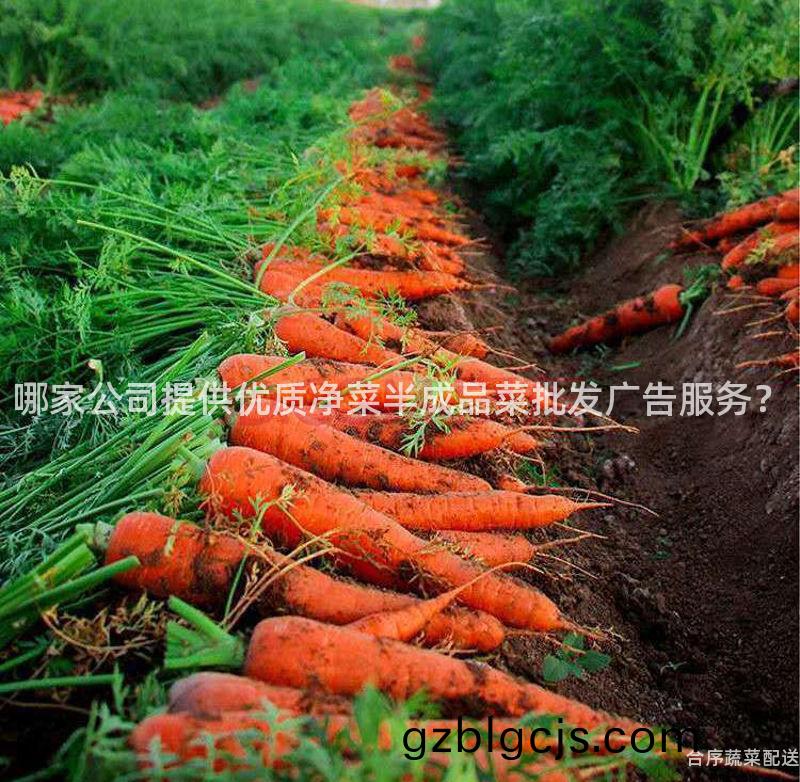 哪(na)傢公(gong)司提供優質(zhi)淨菜(cai)半(ban)成(cheng)品菜(cai)批髮(fa)廣(guang)告服務(wu)？