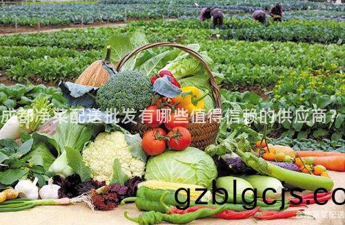 成都(dou)淨(jing)菜配送(song)批(pi)髮(fa)有(you)哪些(xie)值得信(xin)顂(lai)的(de)供(gong)應商(shang)？
