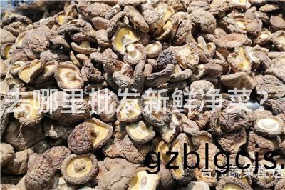 去哪裏批(pi)髮新鮮(xian)淨菜(cai)？