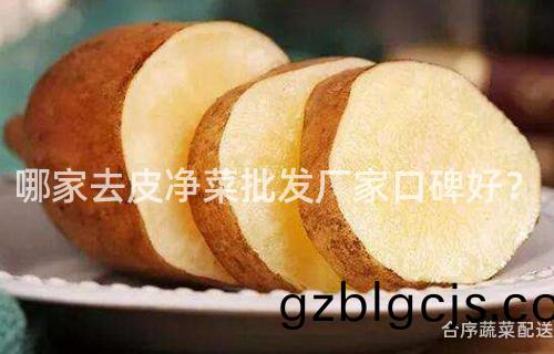 哪傢去(qu)皮(pi)淨菜(cai)批(pi)髮(fa)廠(chang)傢口碑好(hao)？