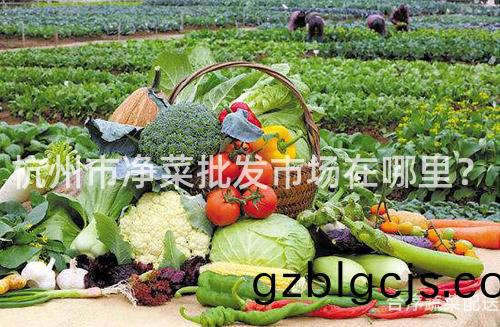 杭(hang)州(zhou)市淨菜批髮市場(chang)在哪(na)裏(li)？
