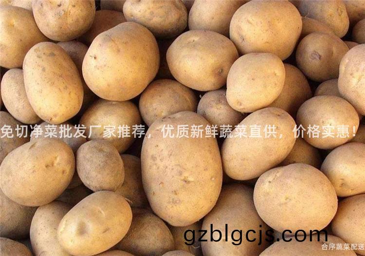 免(mian)切(qie)淨(jing)菜批髮廠傢推薦(jian)，優質(zhi)新鮮蔬菜(cai)直(zhi)供，價(jia)格實(shi)惠(hui)！