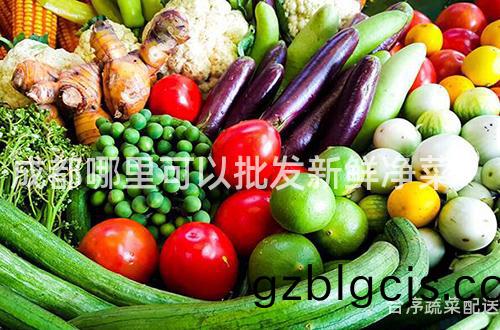 成(cheng)都(dou)哪裏可以批髮新(xin)鮮淨(jing)菜？