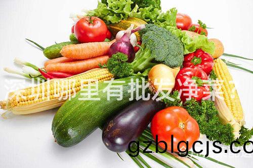 深圳哪(na)裏(li)有批髮淨菜？