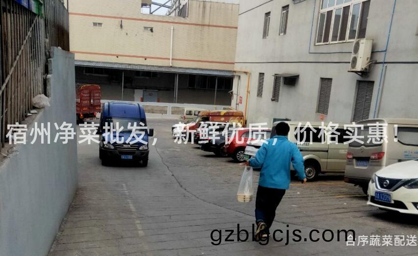 宿州淨(jing)菜(cai)批髮，新鮮(xian)優(you)質，價格(ge)實(shi)惠！
